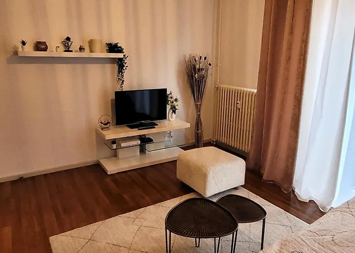 2P Lumineux Au Coeur De Strasbourg